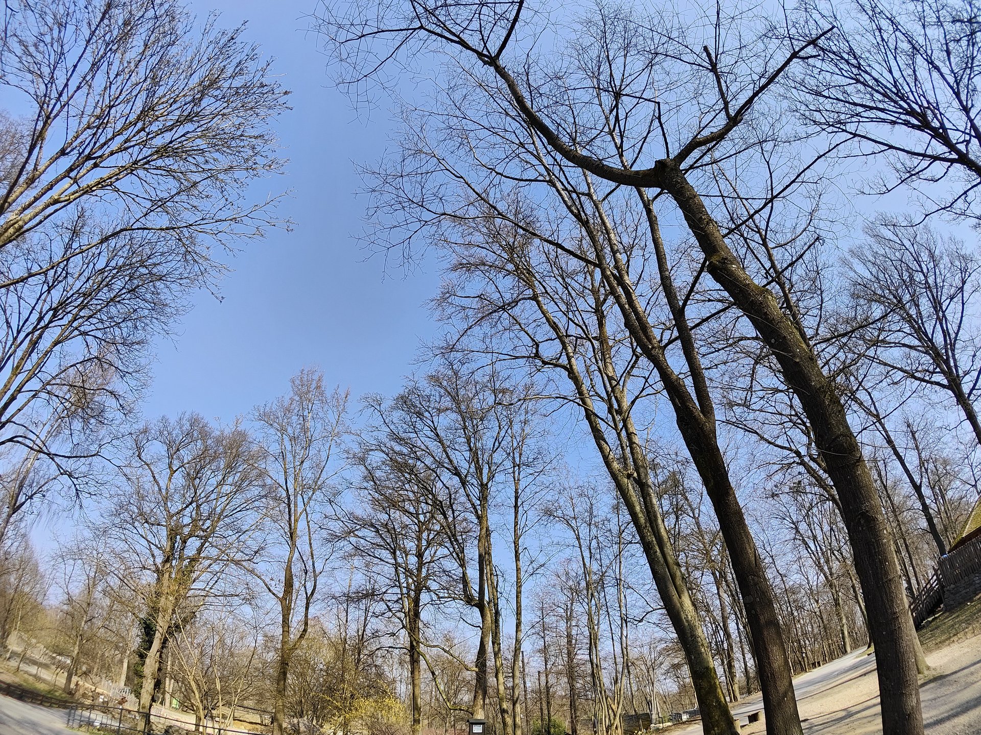 IMG20220325134117.jpg
