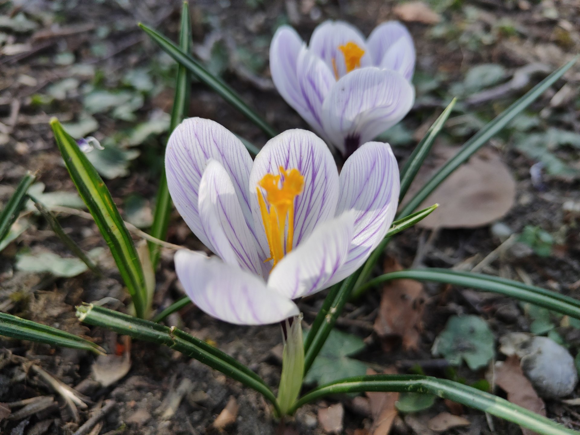 IMG20220325135816.jpg