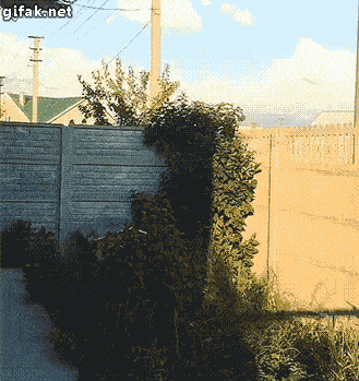 IMG_1486851778149.gif