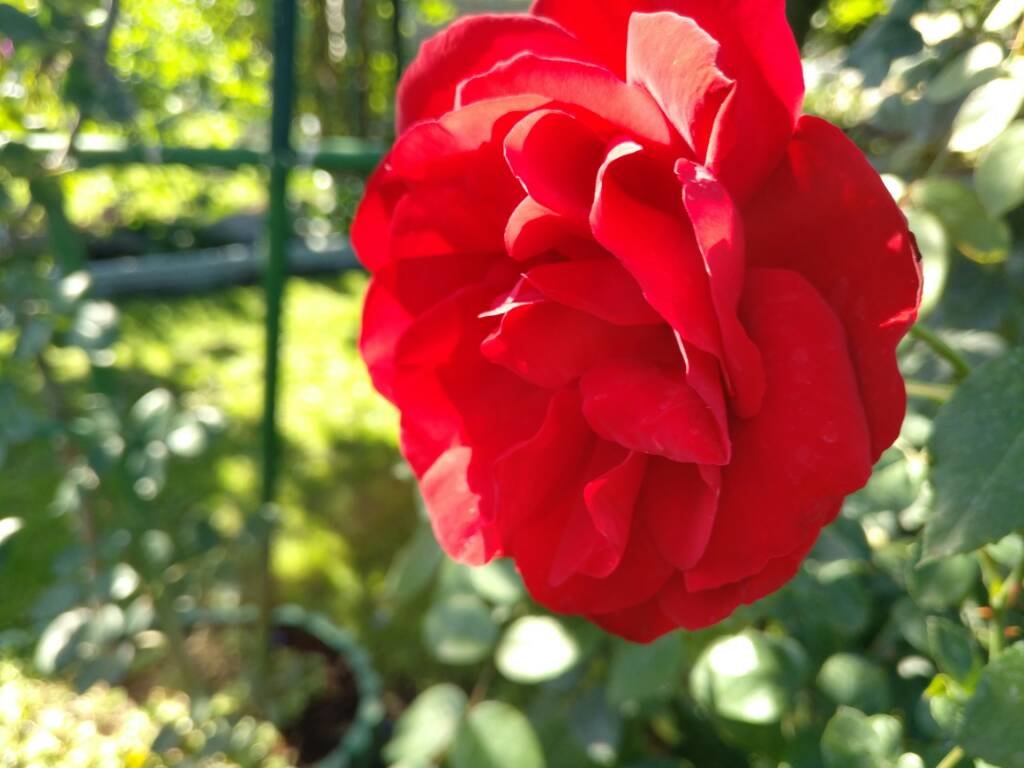 IMG_20160915_111146.jpg