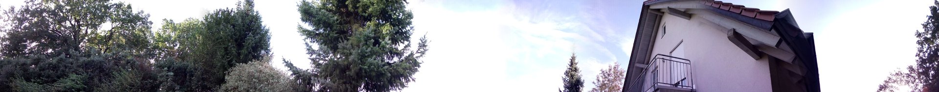 IMG_20161001_094553.jpg