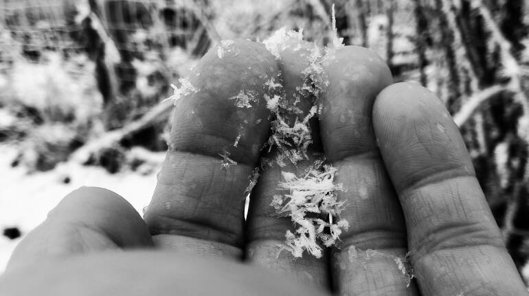 img_20170117_104710-02-jpeg.558603