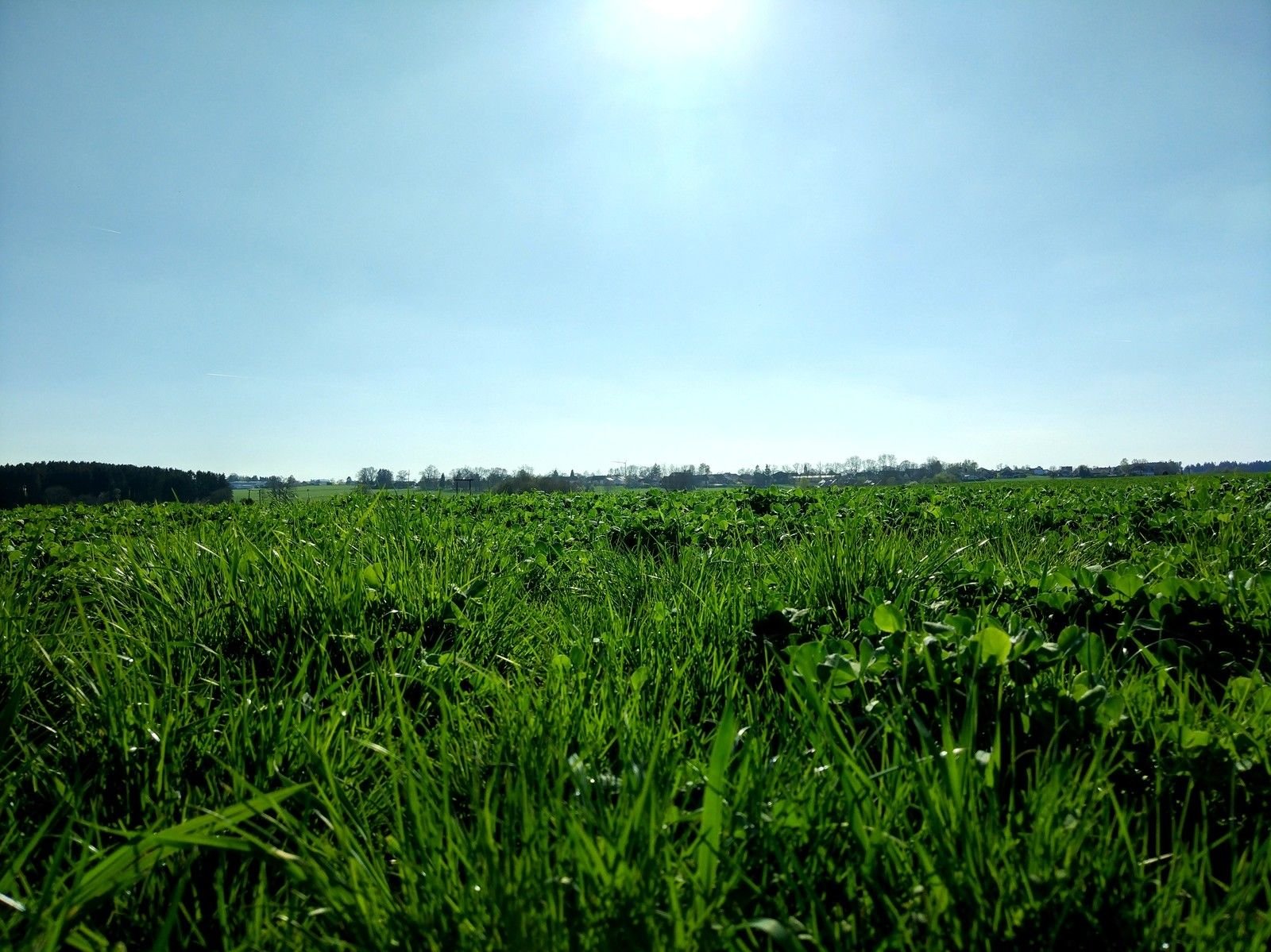 IMG_20170409_165358_HDR.jpg