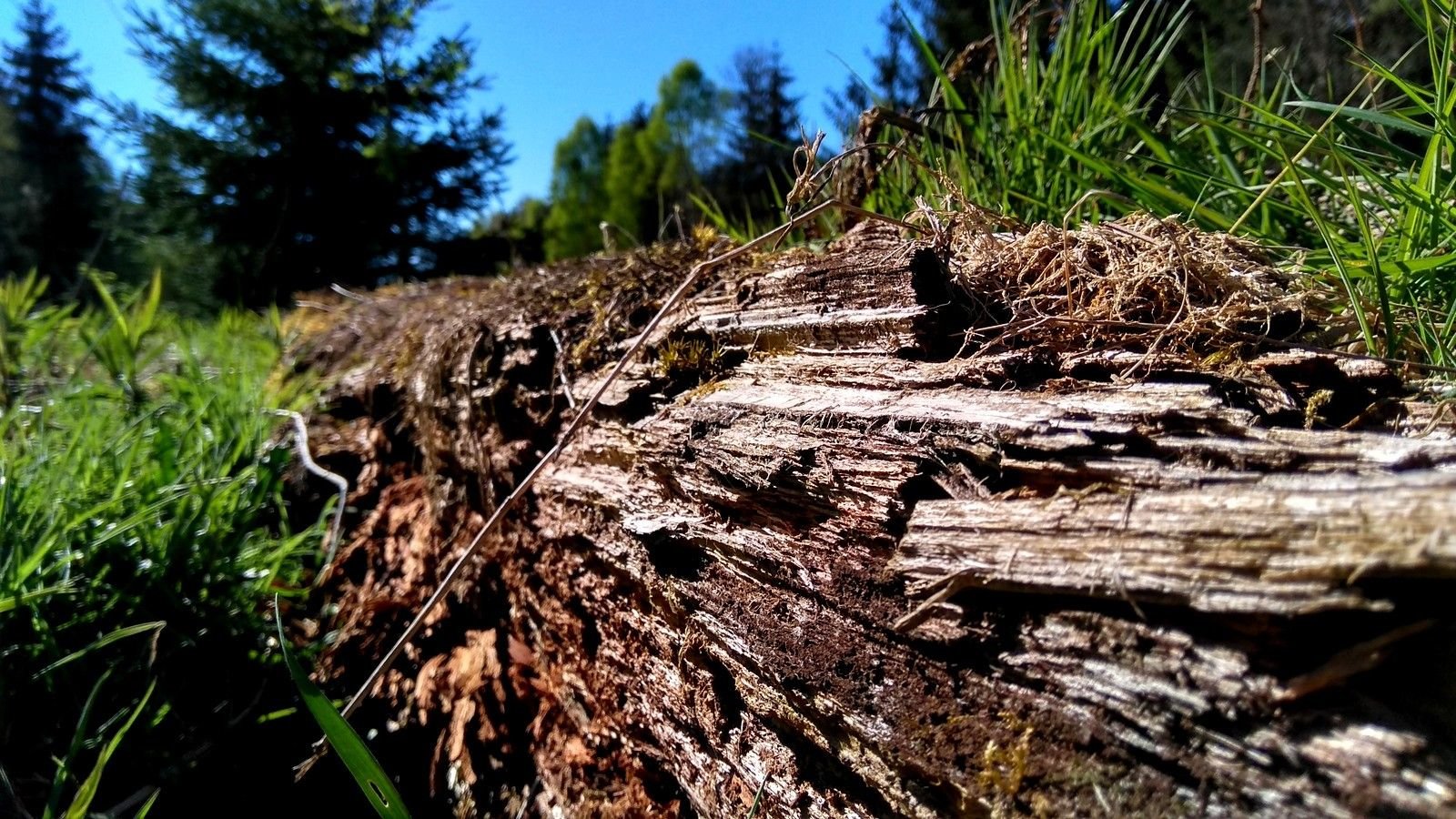 IMG_20170430_164352_HDR.jpg