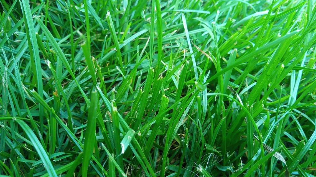 IMG_20170826_160002.jpg