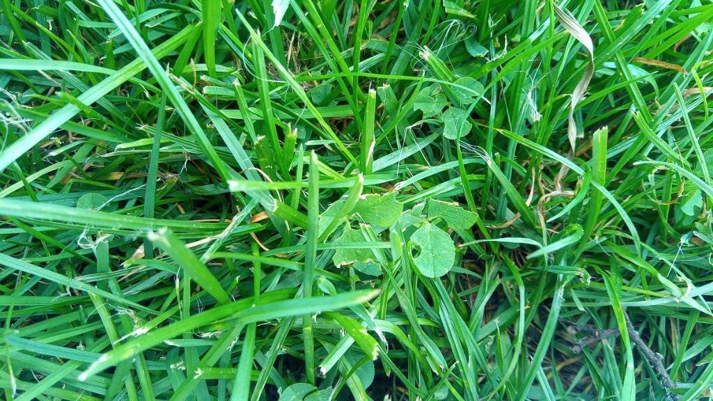 IMG_20170826_160023.jpg