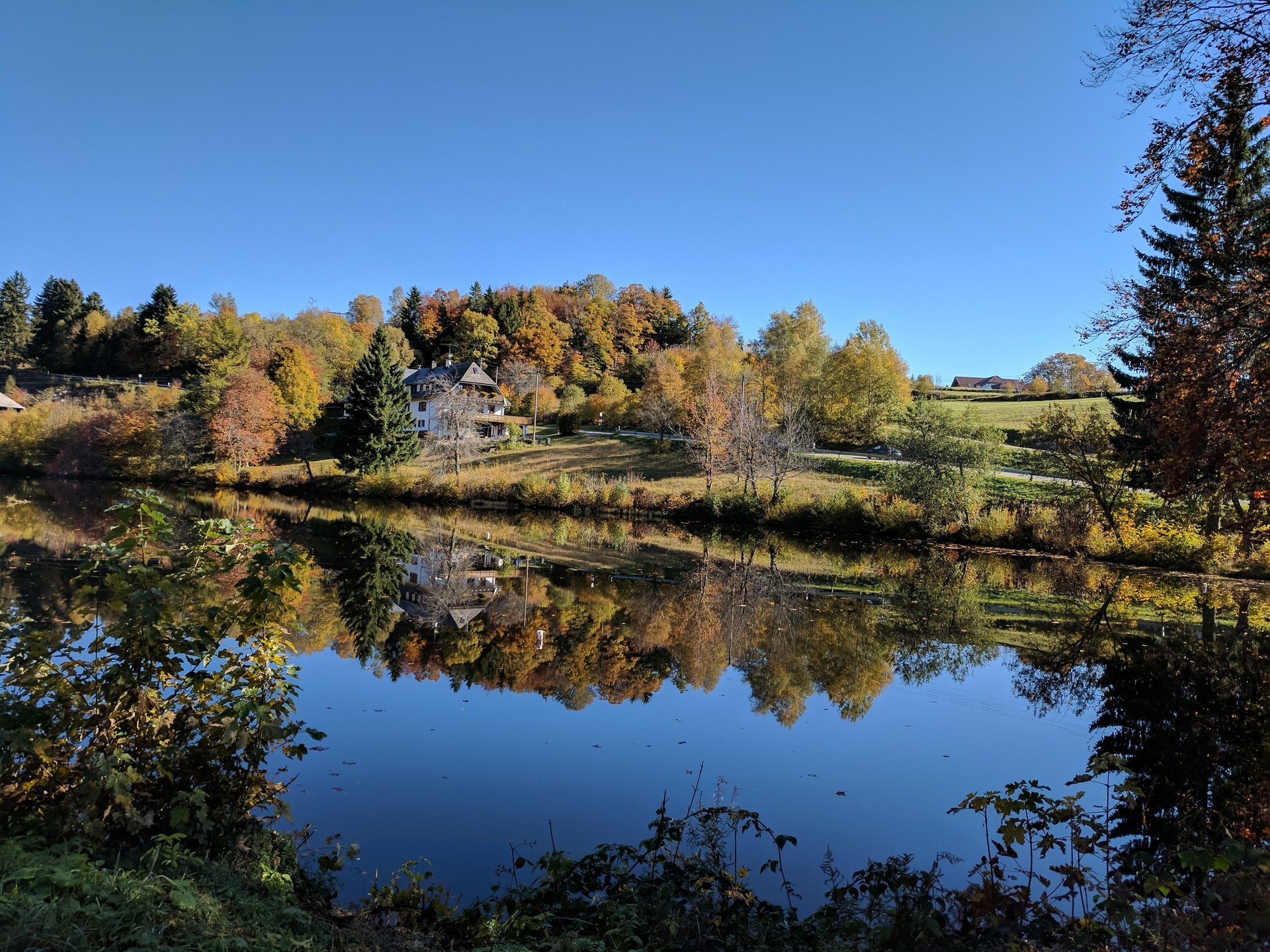 IMG_20171015_110825.jpg