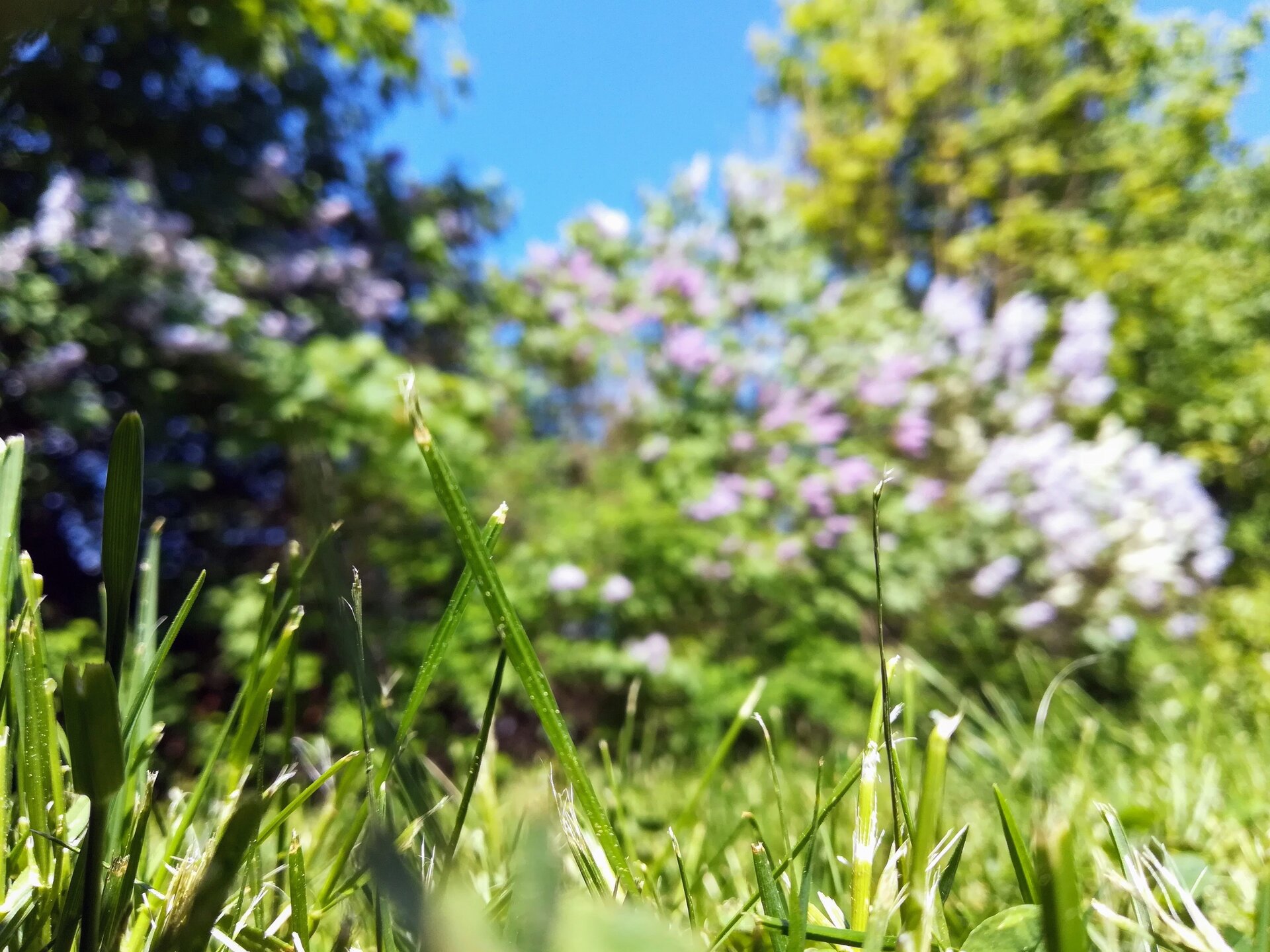 IMG_20180509_115707.jpg