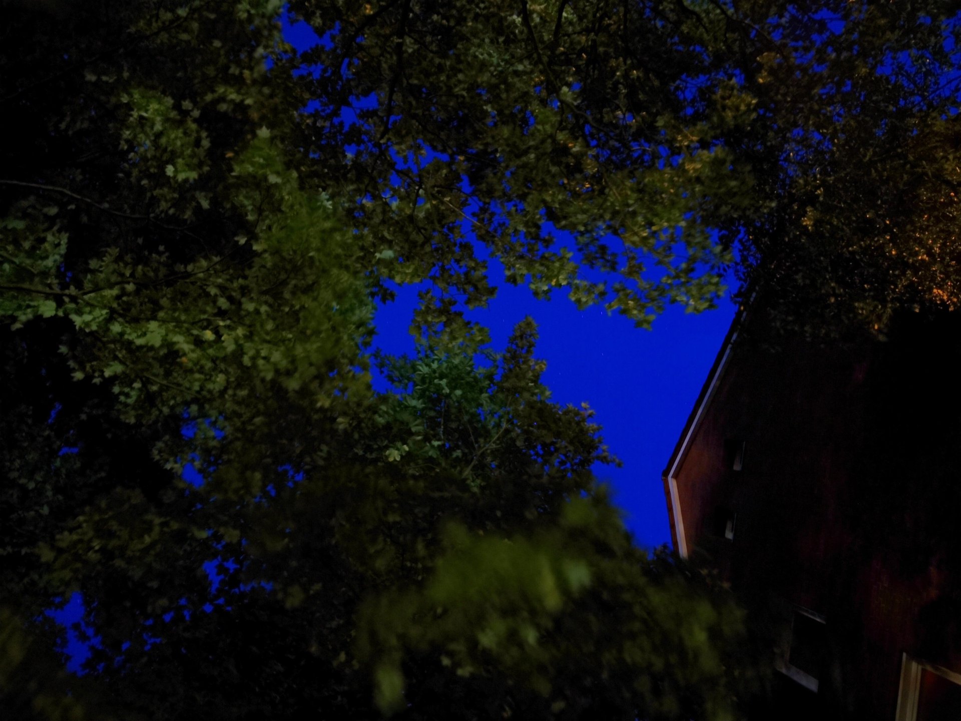 IMG_20180718_232205.jpg