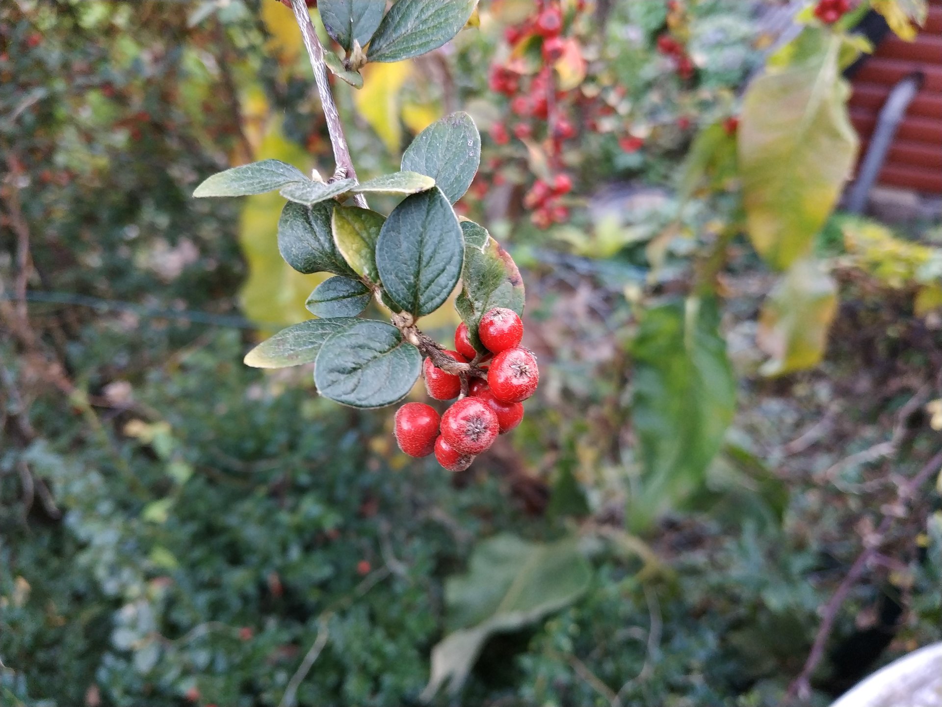 IMG_20181007_174450.jpg