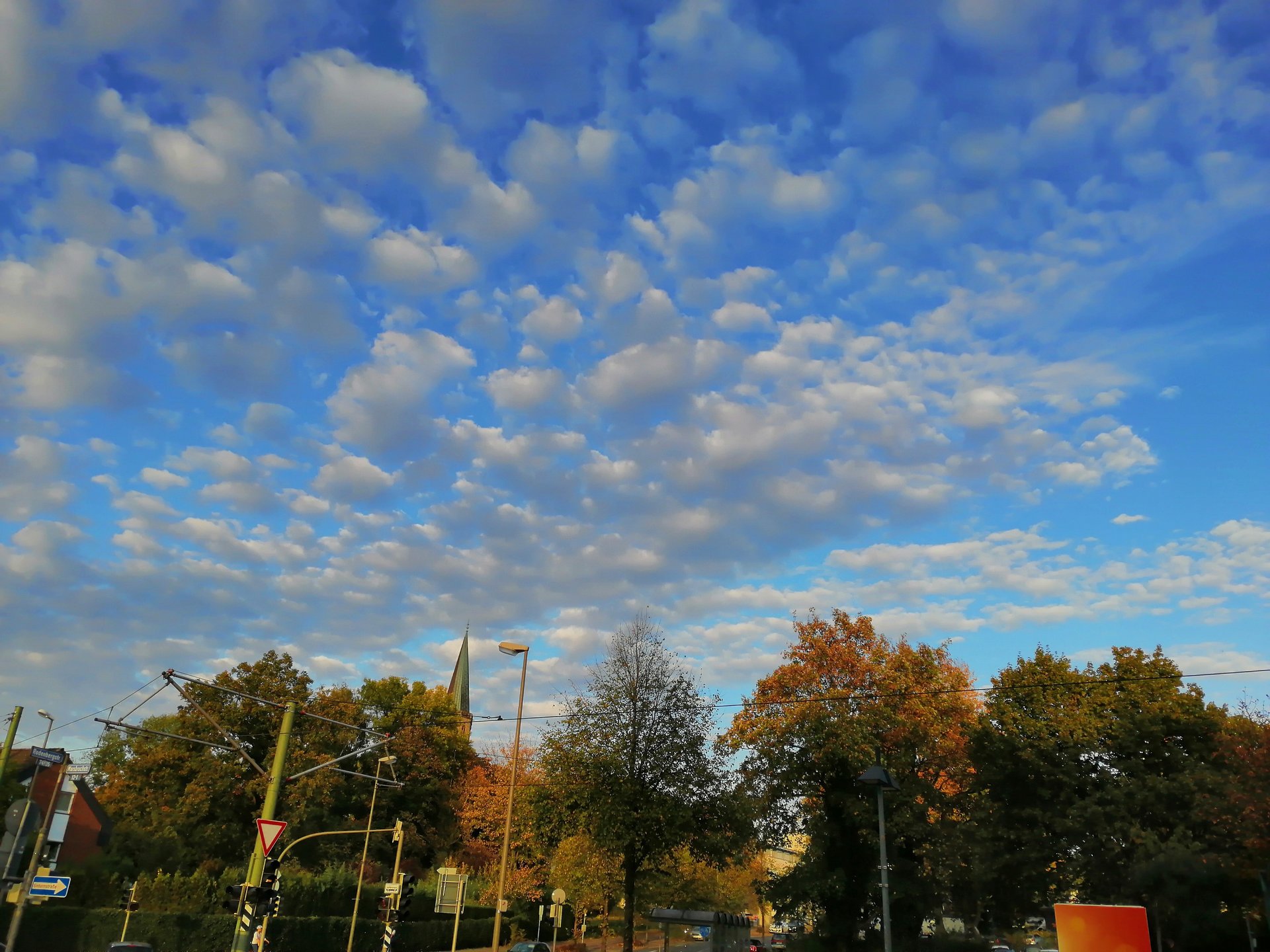 img_20181015_173833-jpg.665022