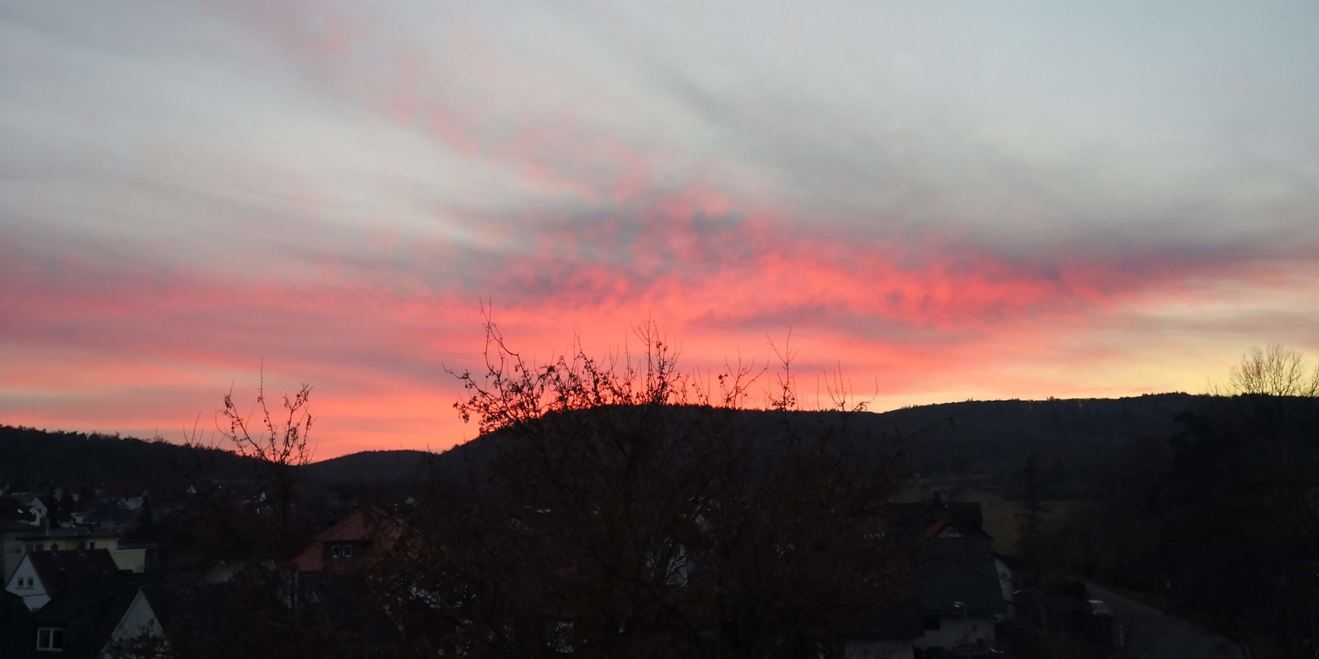 IMG_20190213_175339.jpg