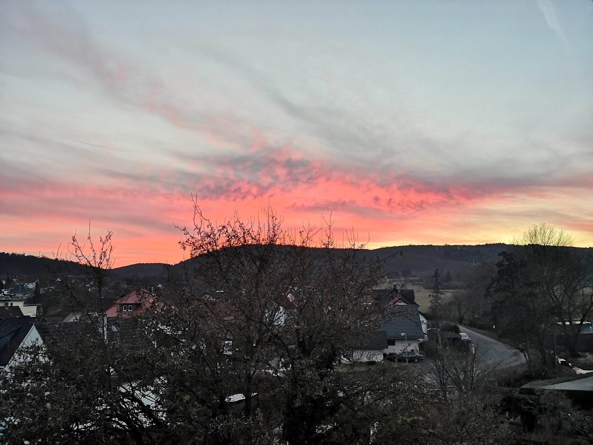 IMG_20190213_175355.jpg