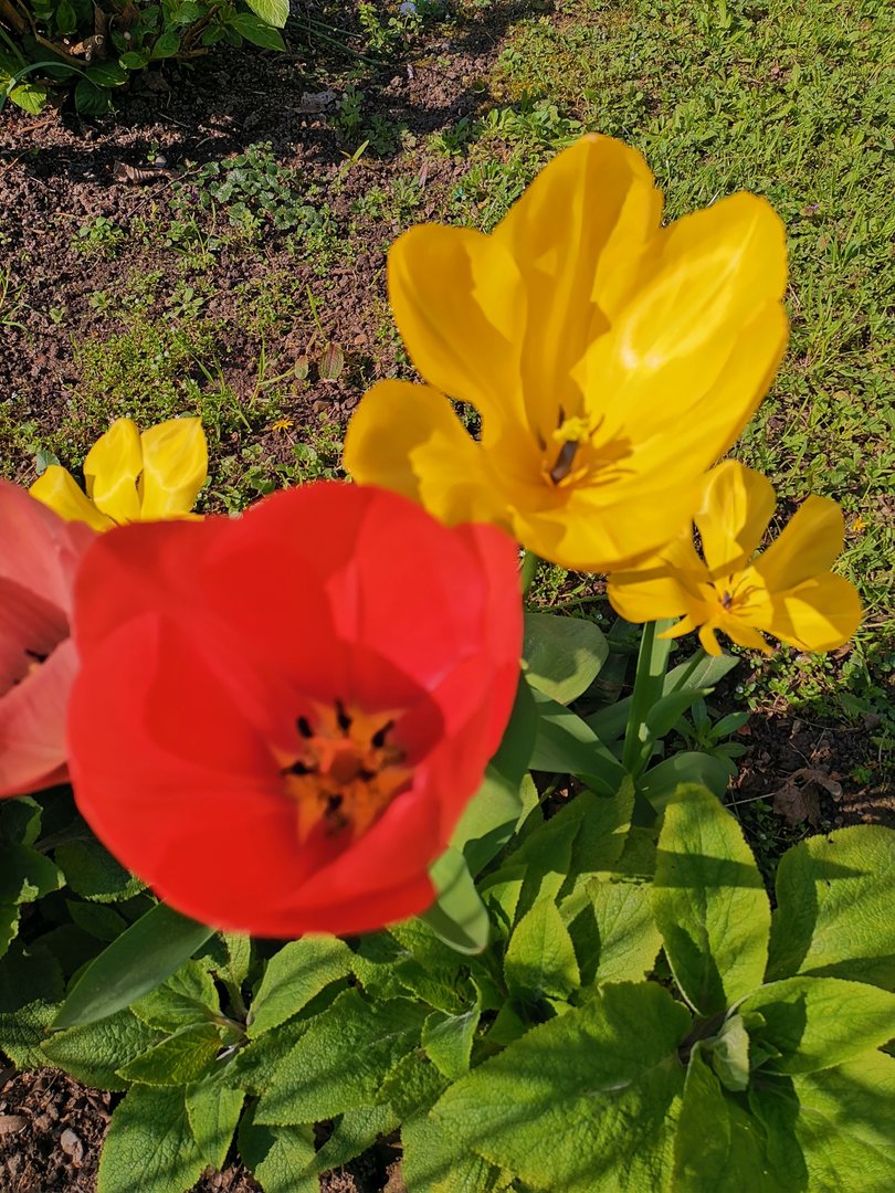 IMG_20190407_111623.jpg