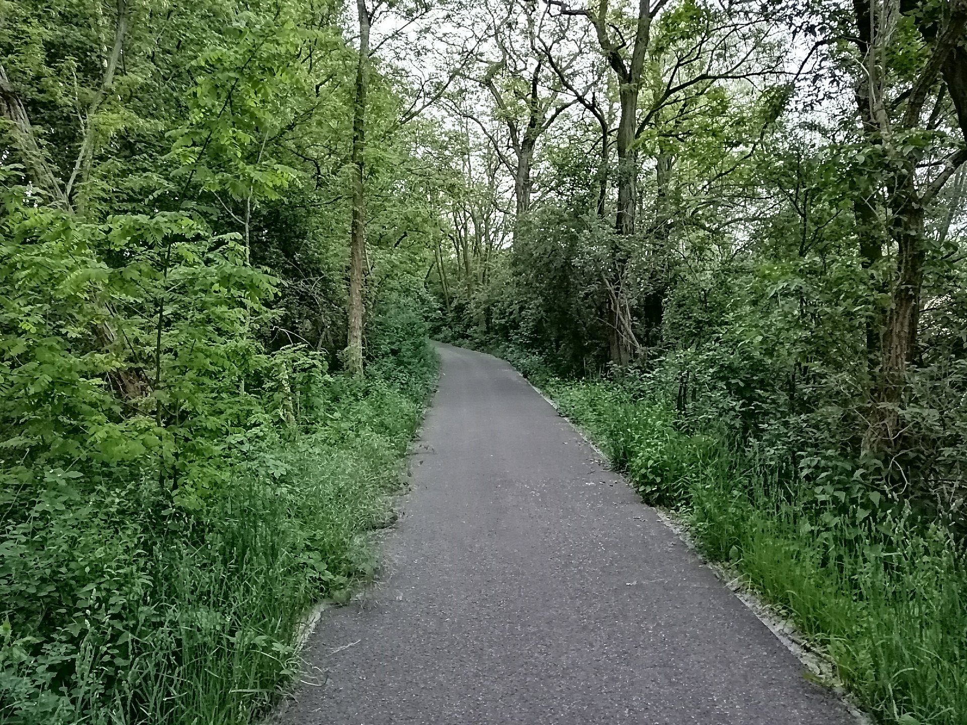 IMG_20190523_210500.jpg