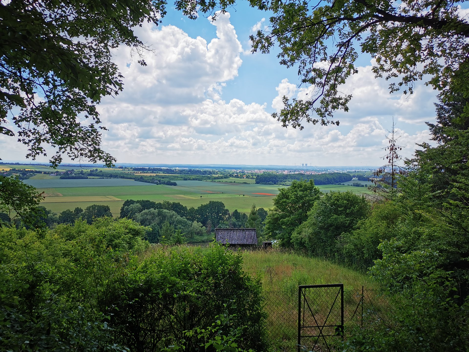 IMG_20190617_140602.jpg