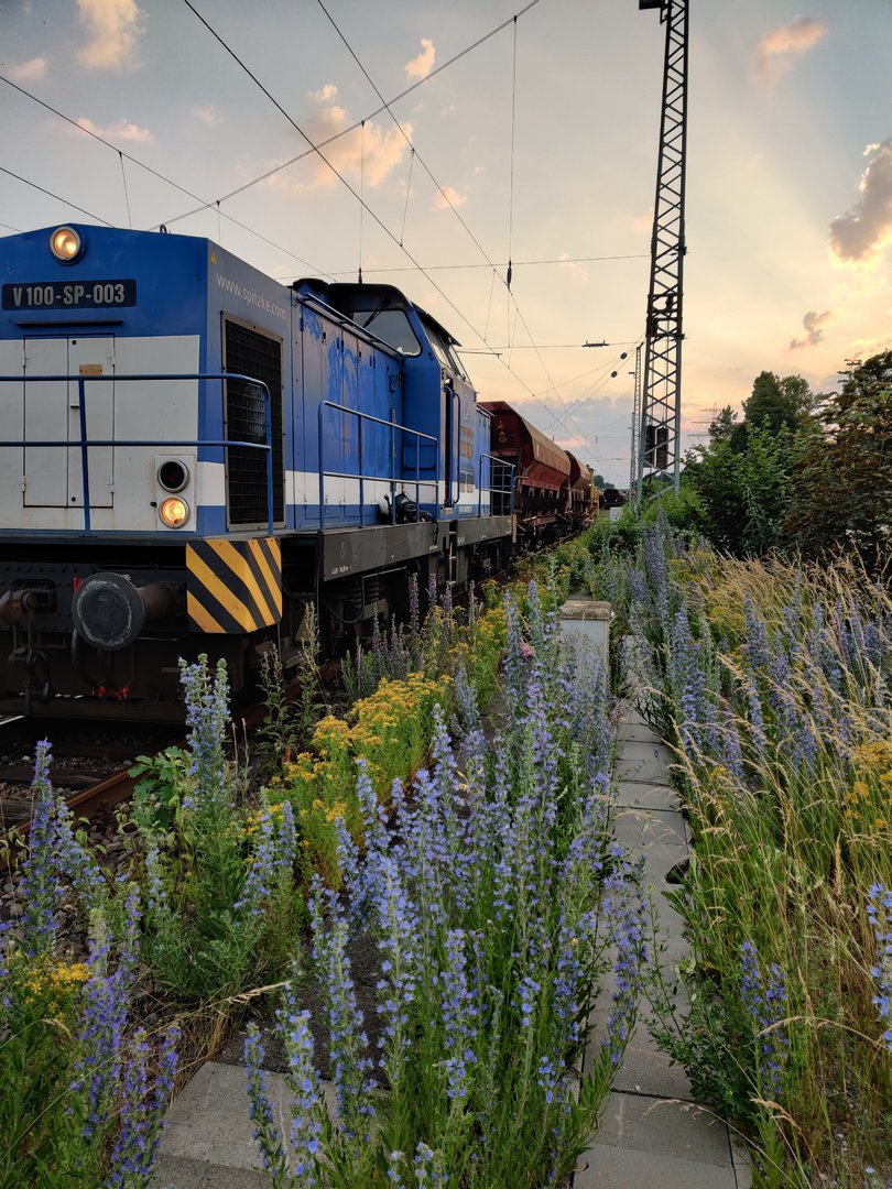 IMG_20190618_211124.jpg