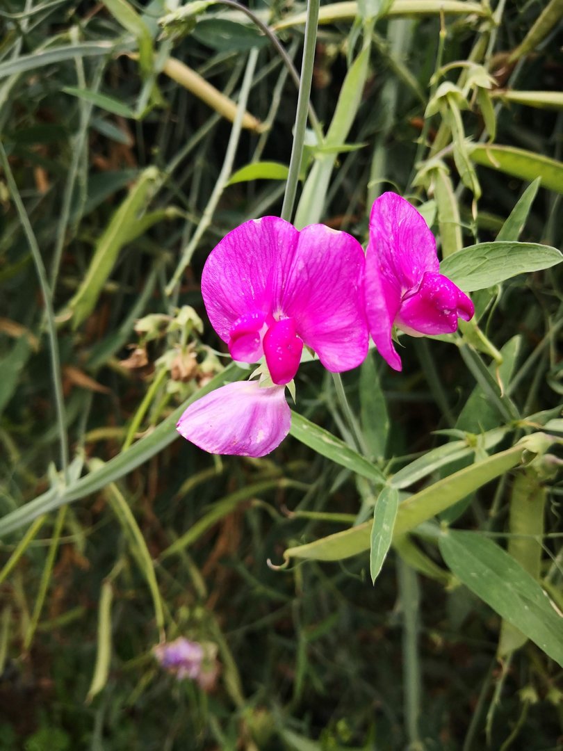 IMG_20190902_151149.jpg