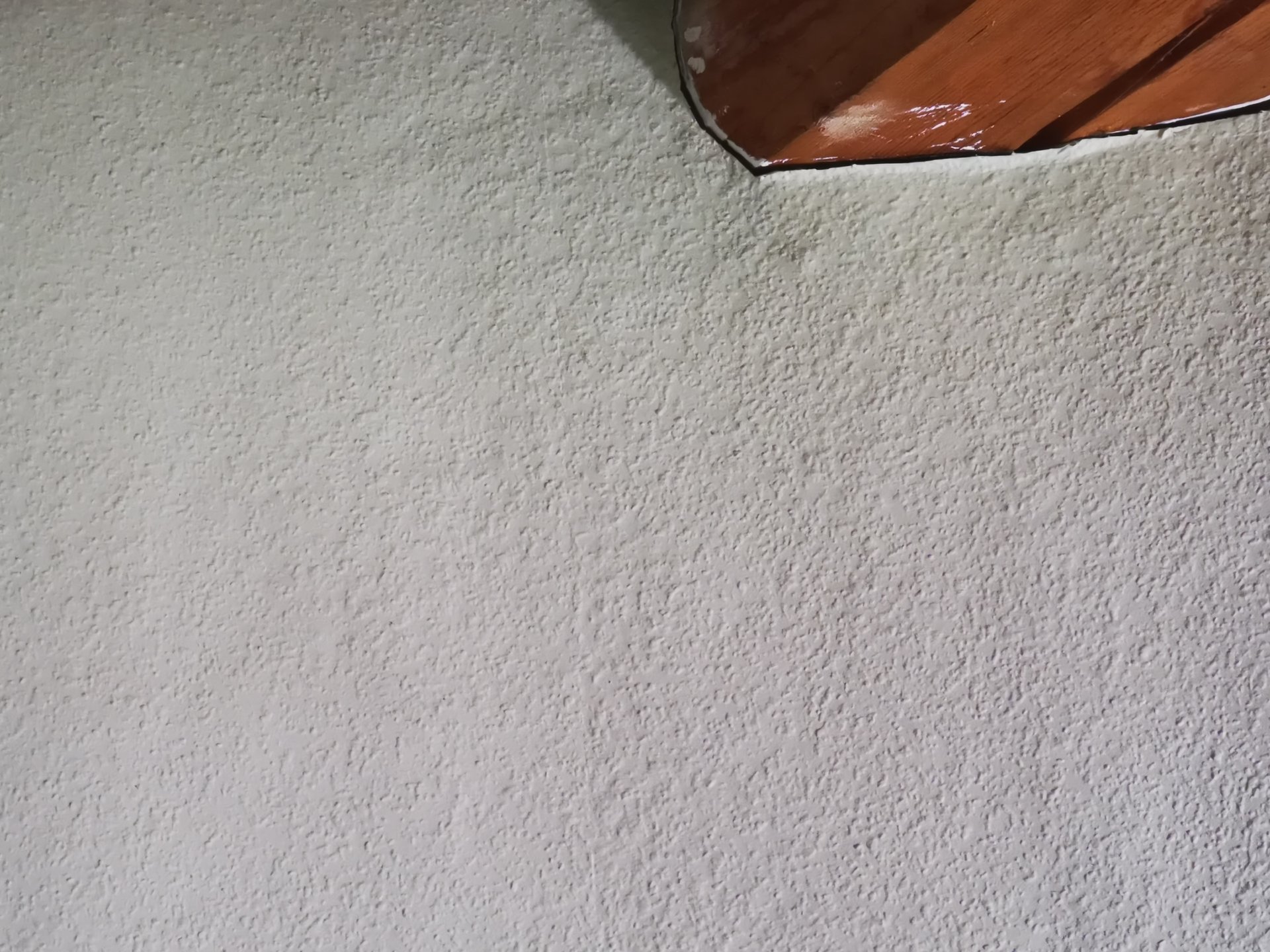 IMG_20191018_124050.jpg