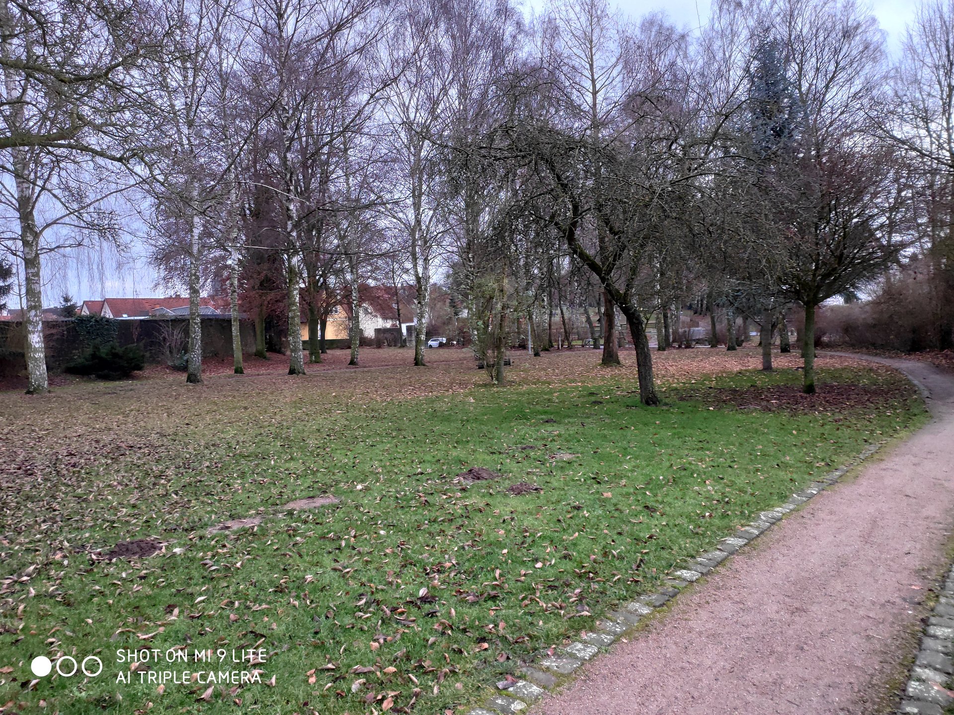 IMG_20200107_163620.jpg