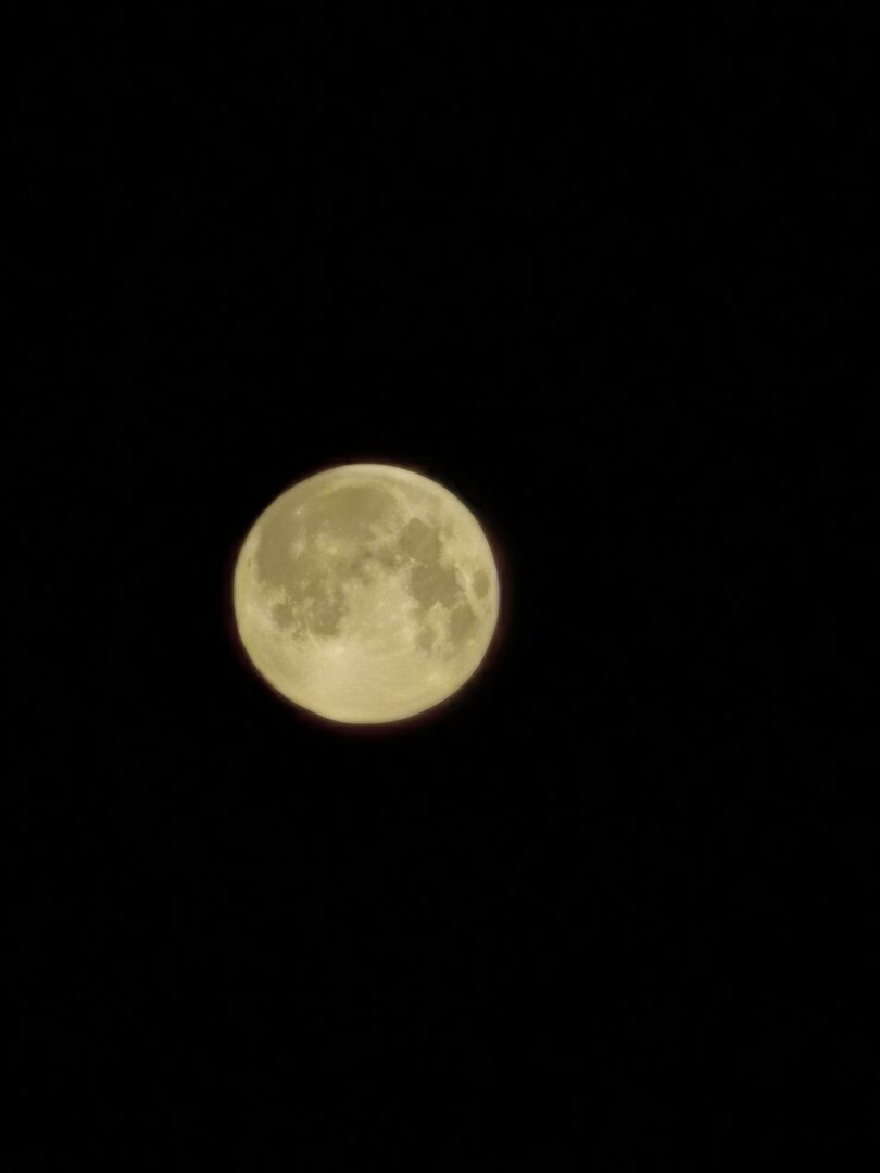 IMG_20200408_084408.jpg