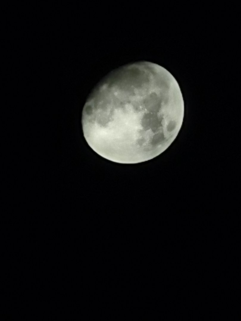 IMG_20201126_235805.jpg