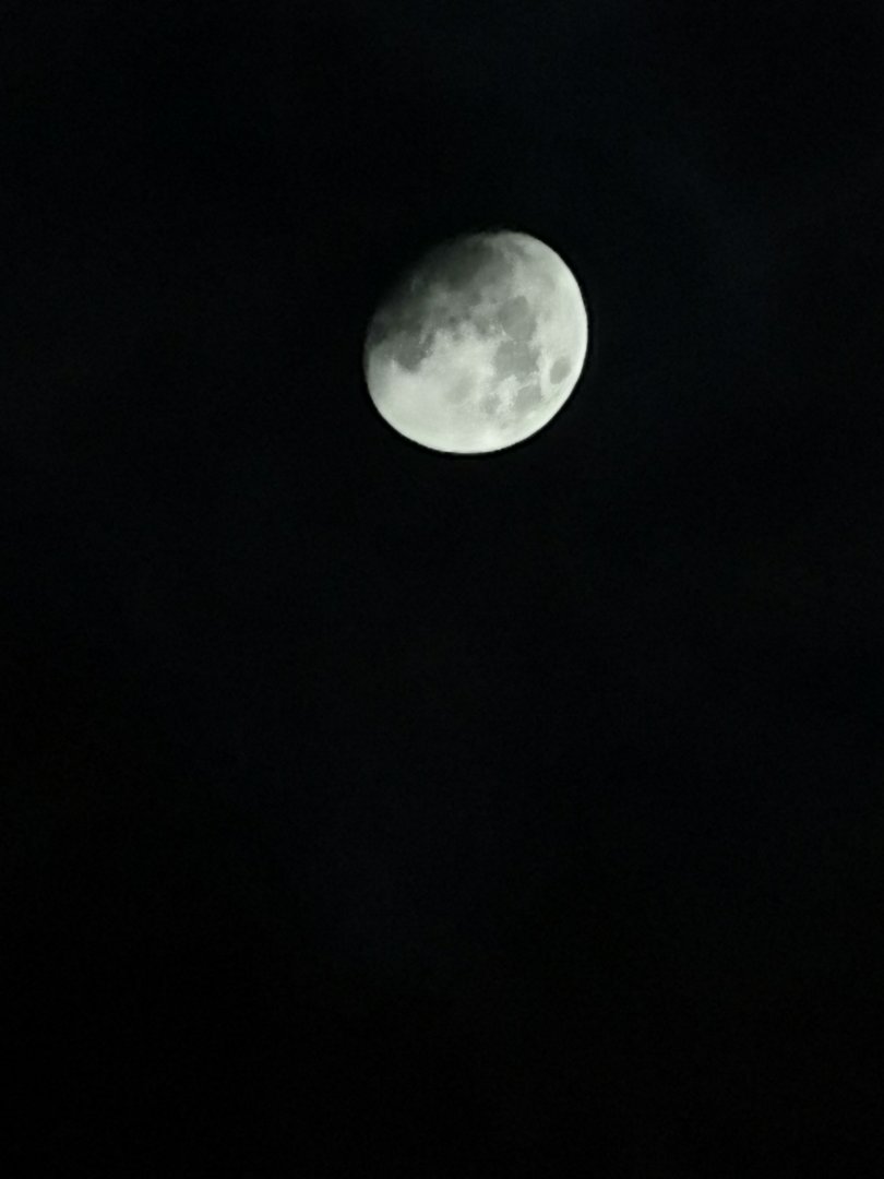 IMG_20201126_235857.jpg