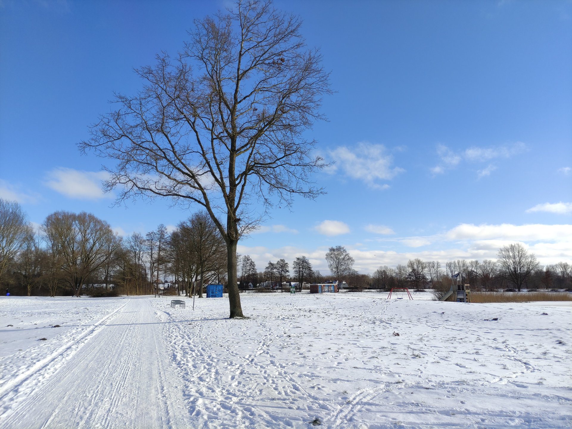 IMG_20210210_123246.jpg