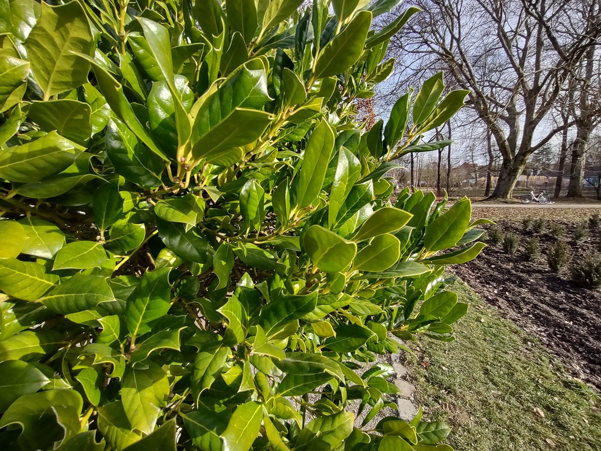 IMG_20210226_154155736_HDR.jpg