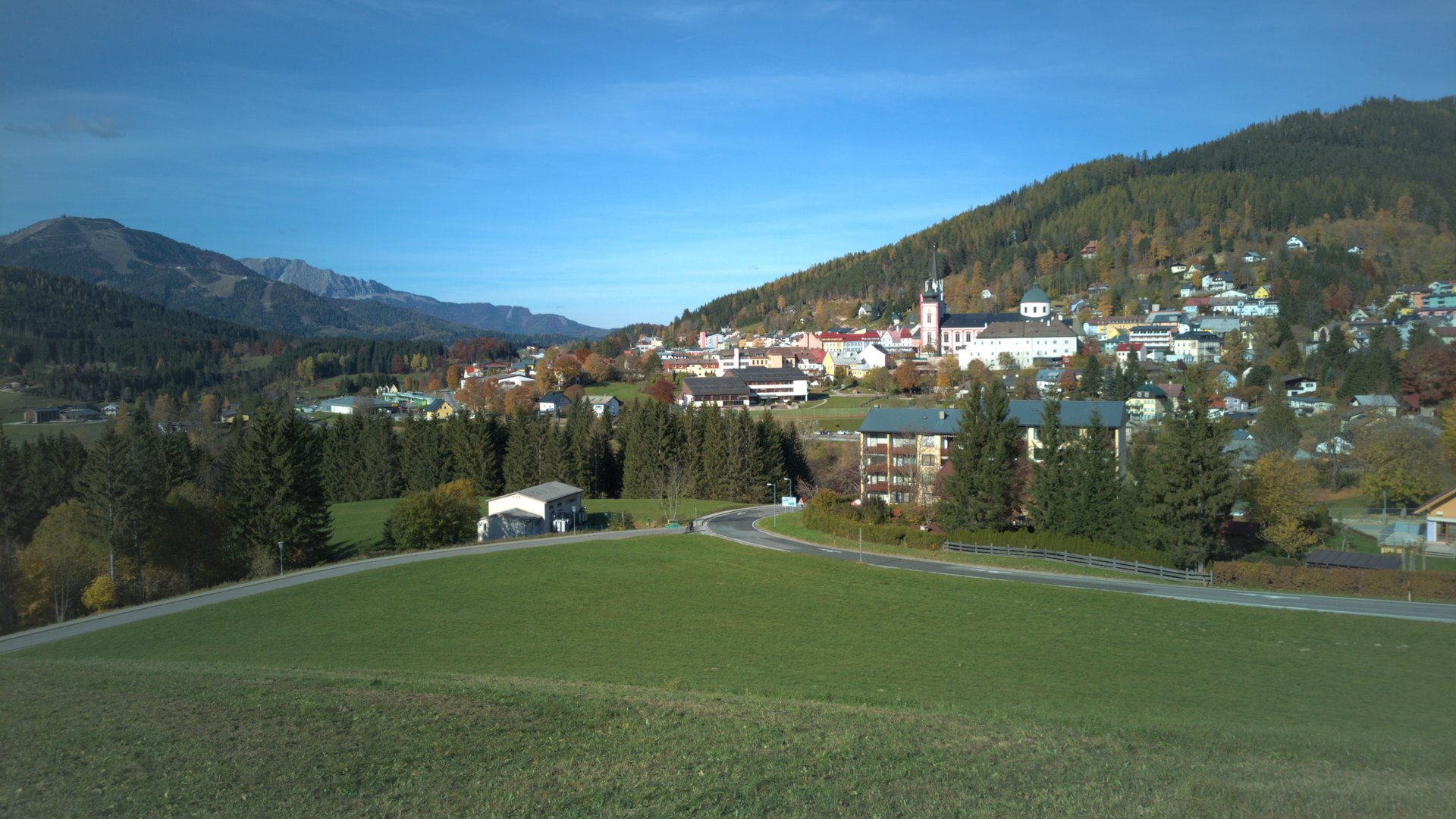 IMG_20211027_135428.jpg
