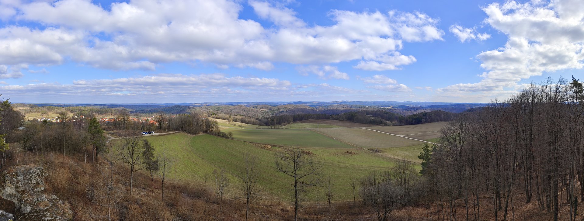 IMG_20220227_114310.jpg