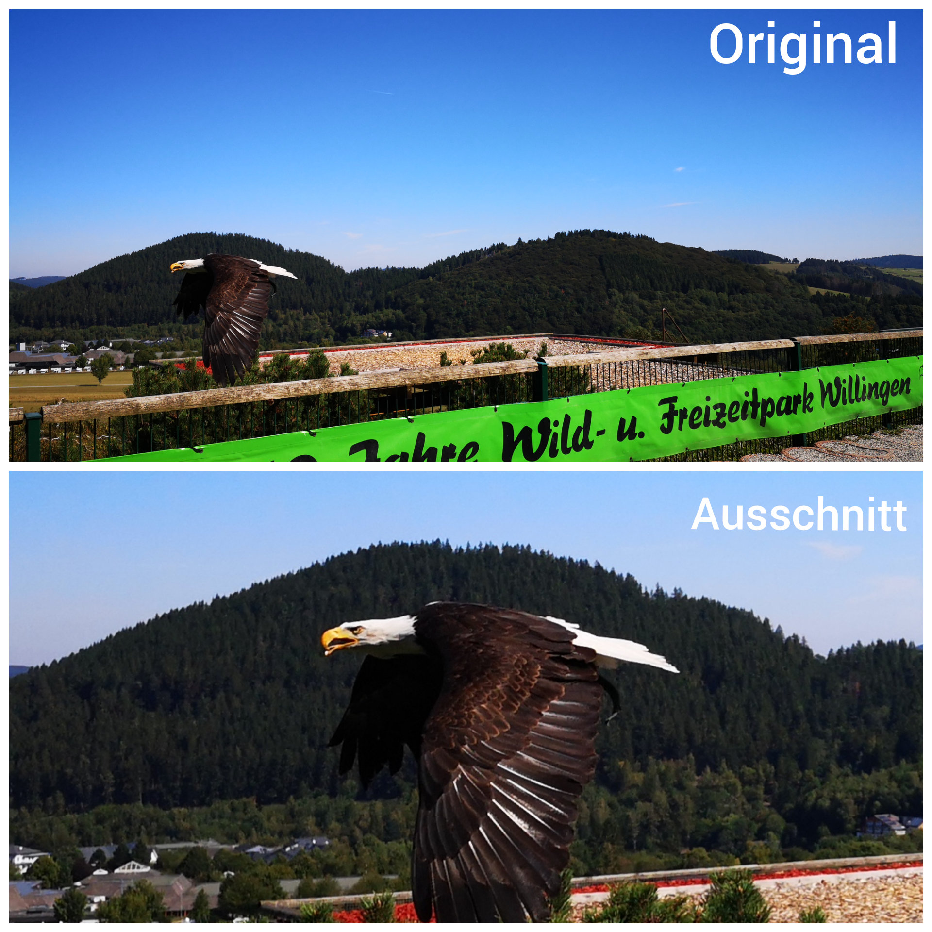 inCollage_20190825_134132725.jpg