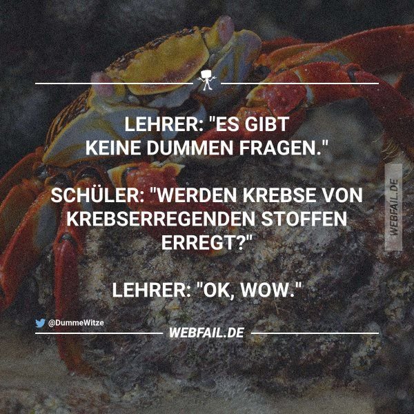 krebse-jpg.714618