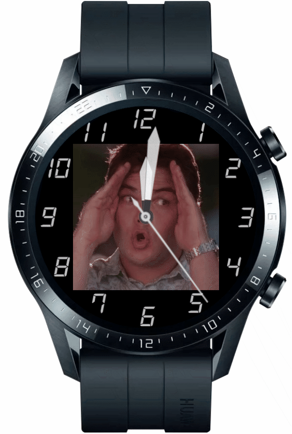 Kuckuck3_animation.gif