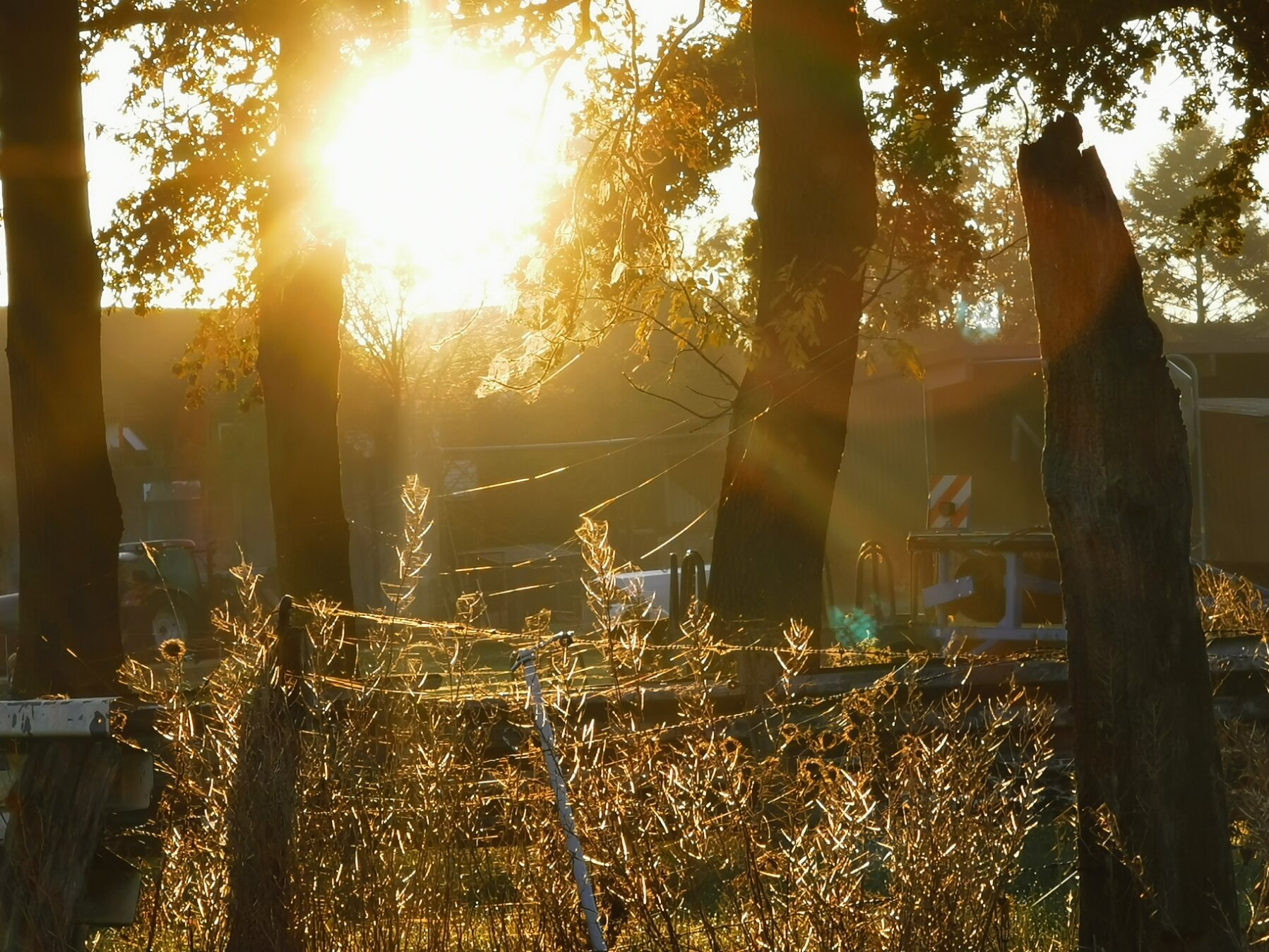 Lensflare beseitigt1.jpg