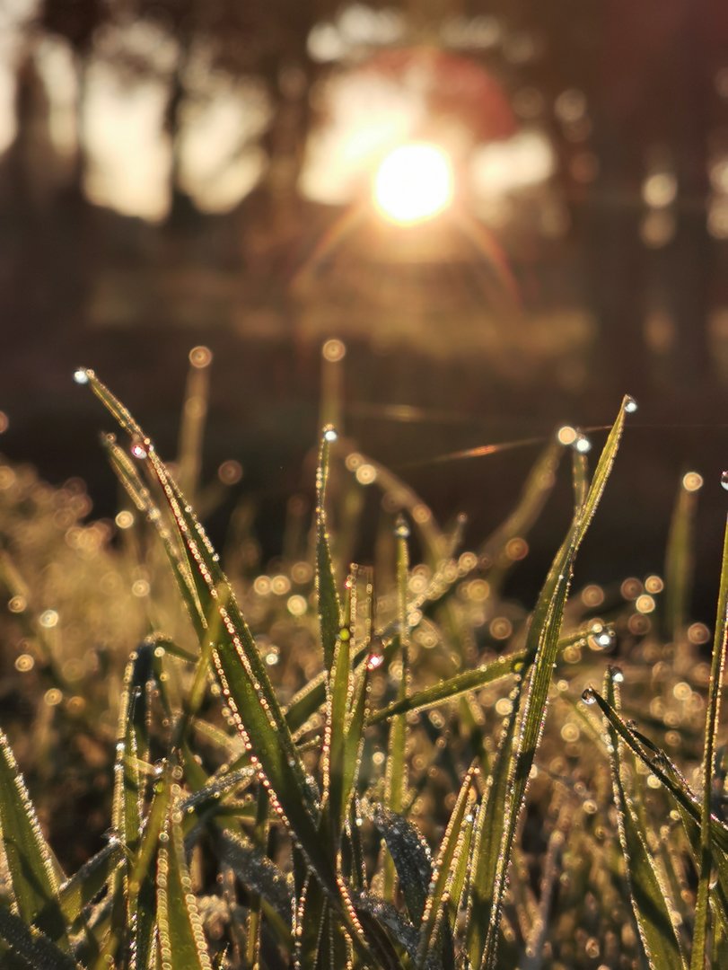 Lensflare beseitigt2.jpg
