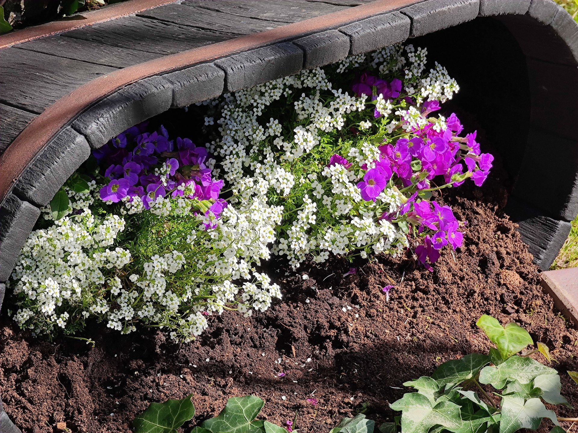 Mi11U__Flowerbed_5x.jpg