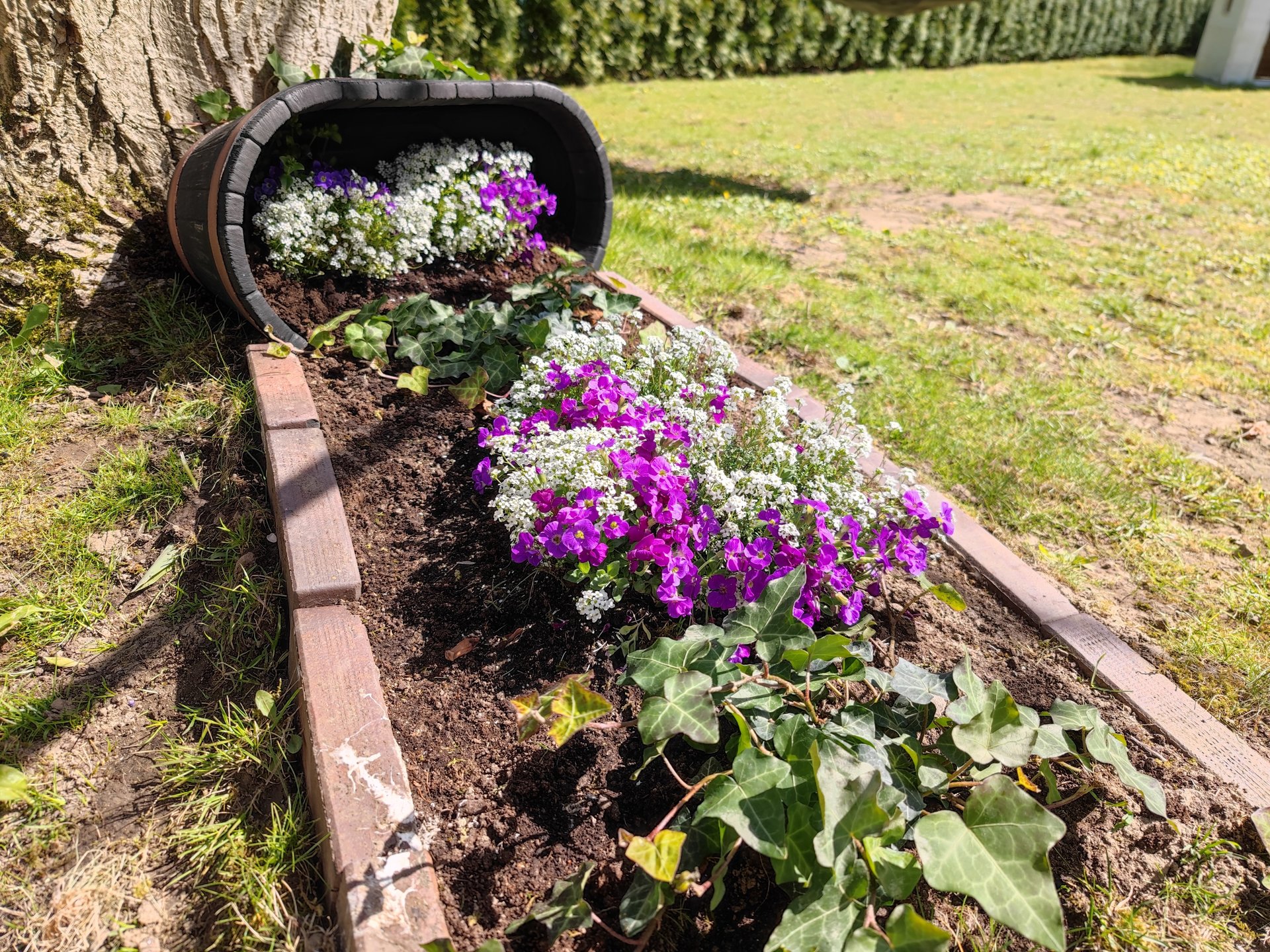 Mi11U_Flowerbed_Wide.jpg
