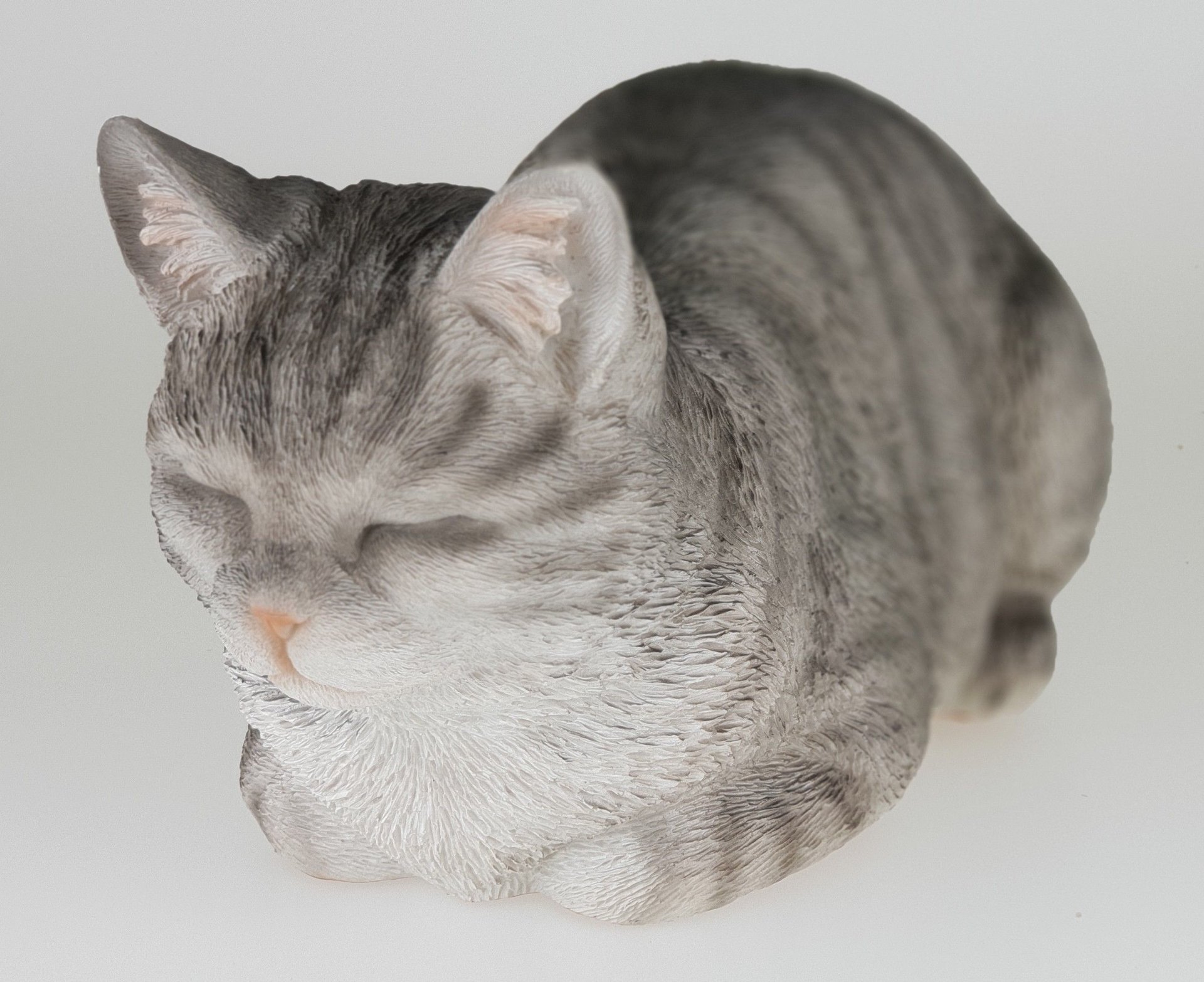 miau.jpg