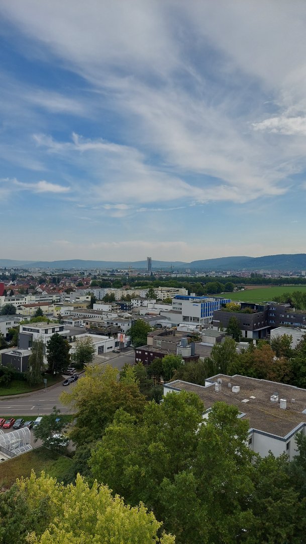 mittag-m51-voll.jpg