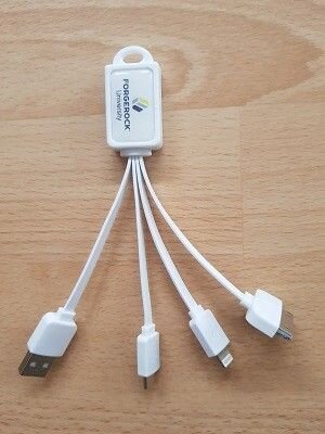 Multiportladeadapter.jpg