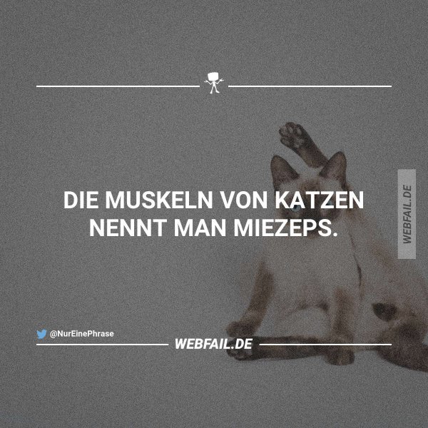muskeln-jpg.754821