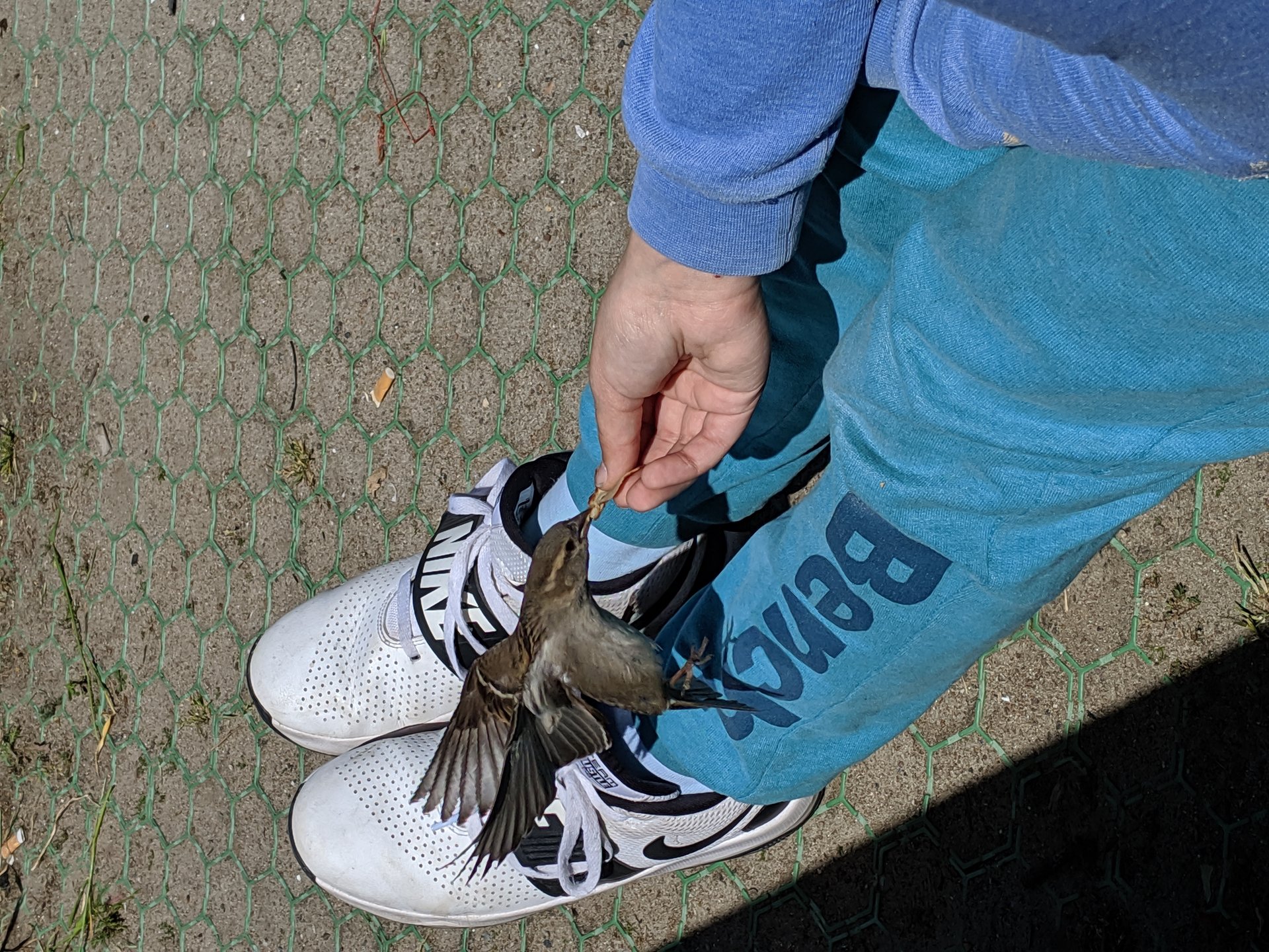 MVIMG_20190514_135357.jpg