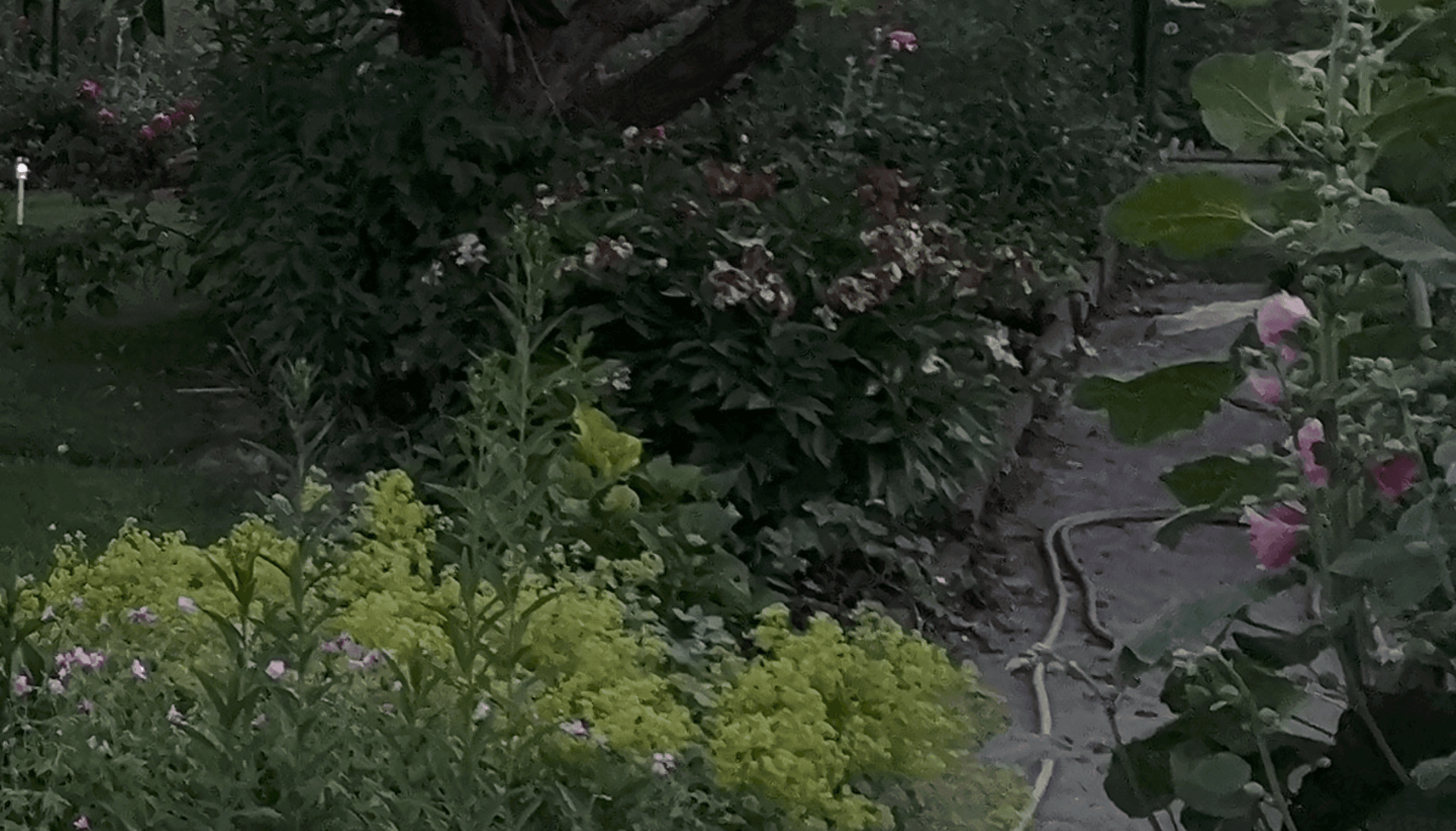 p20_crop.png