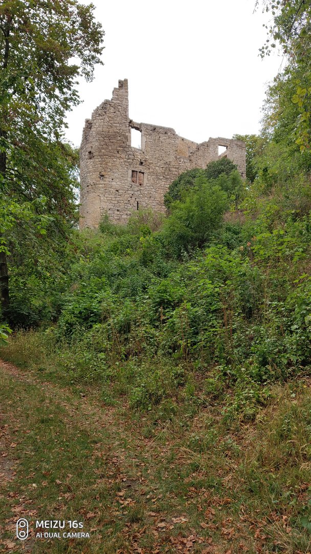 P90809-173914.jpg