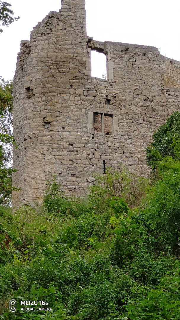 P90809-173920.jpg
