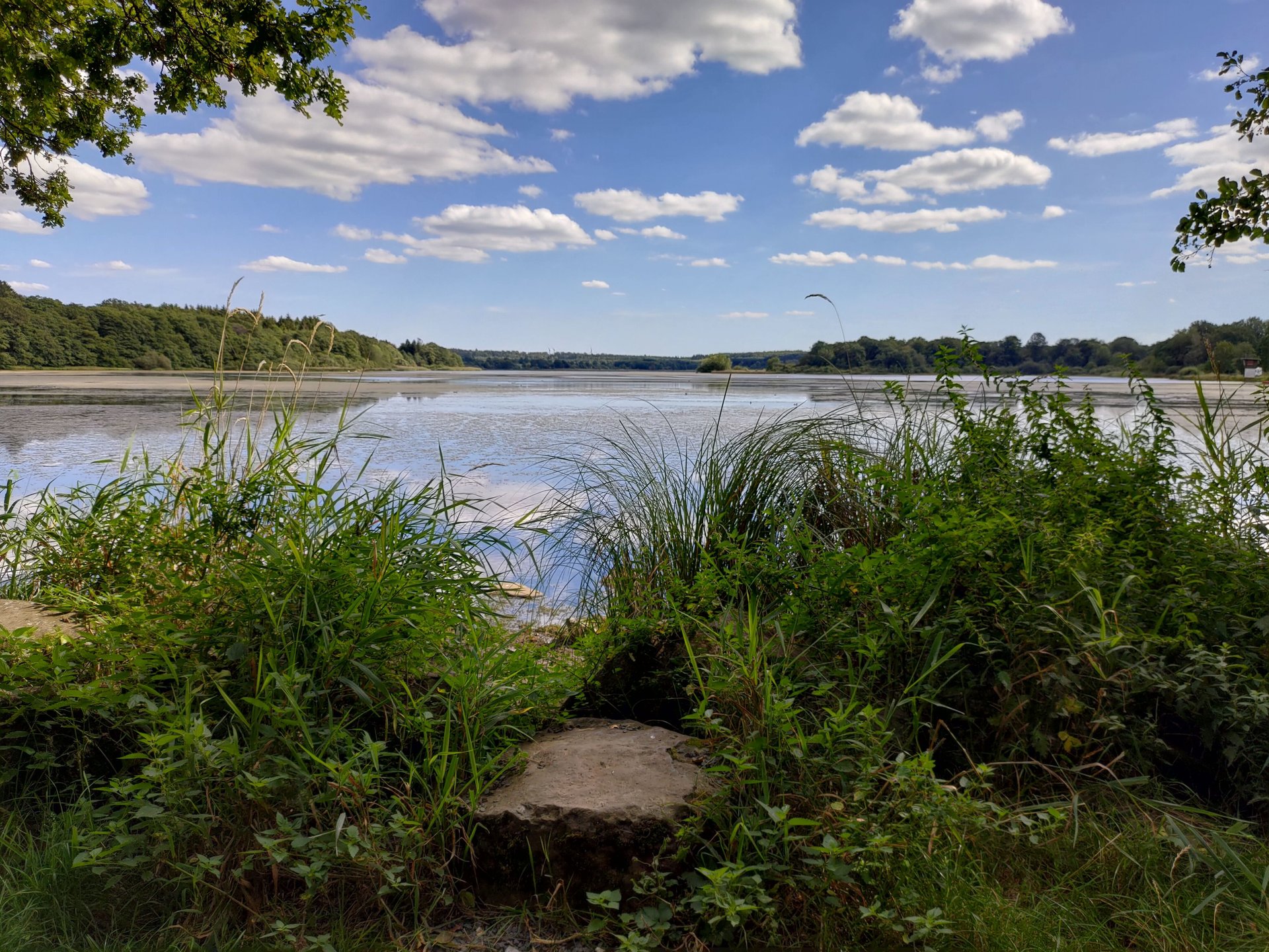 P_20190903_145904.jpg