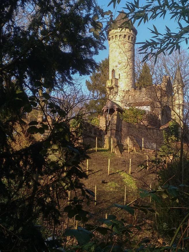 PSX_20180114_182557.jpg