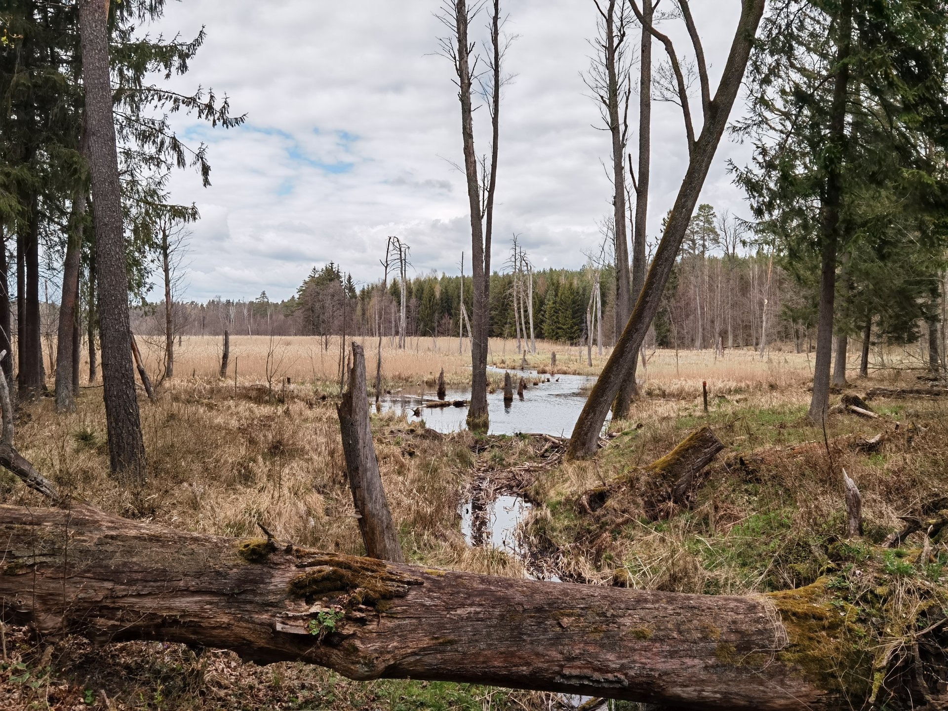 recenzja-huawei-p40-pro-zdjecia-przykladowe-16b-jpg.791211