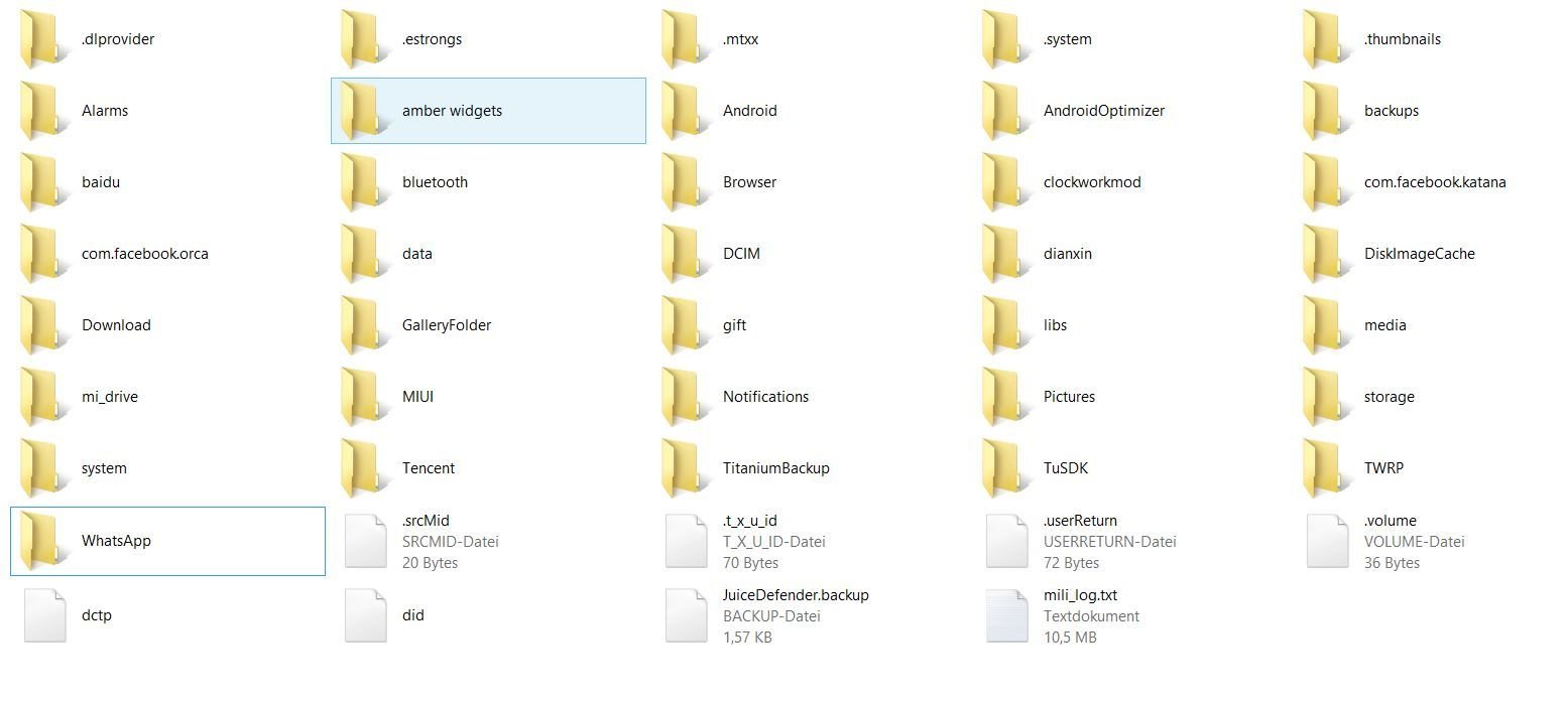 RMN2_2.JPG